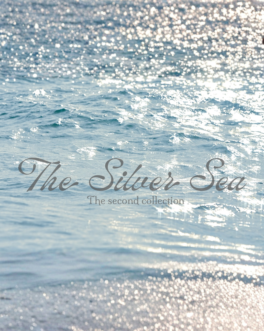 The Silver Sea