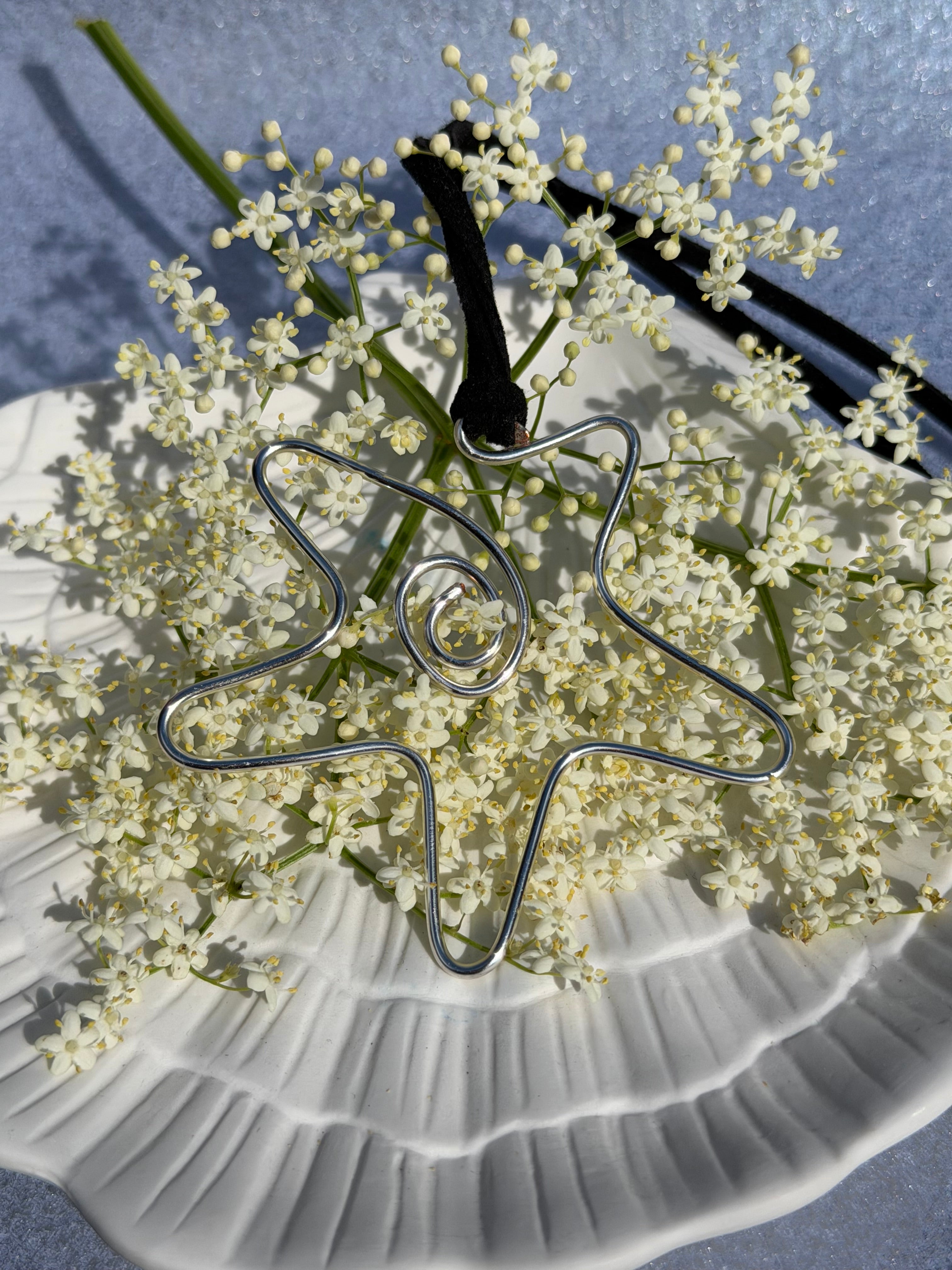 The Star Necklace